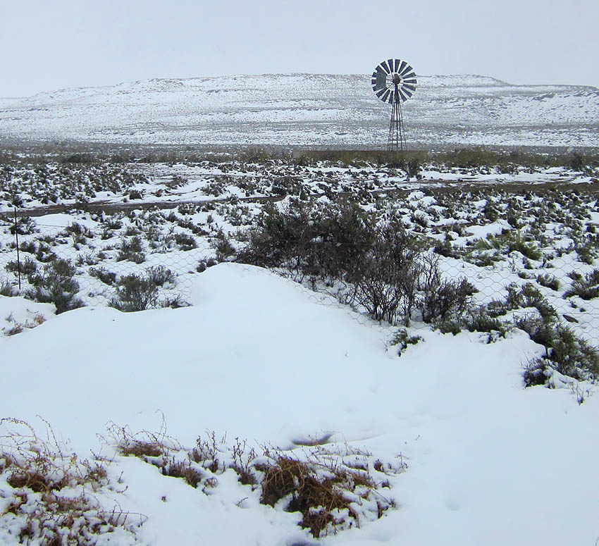 Where to See Snow in South Africa this Winter